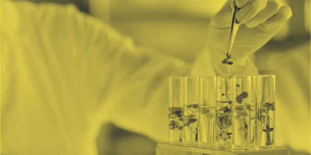 Mano con guante tomando una muestra vegetal de un tubo de ensayo en un laboratorio